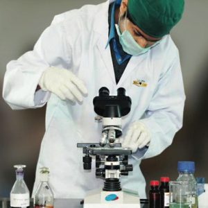lab2 lab2